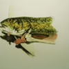 Walden Pond Fish on Plate