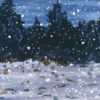 Snow Squall