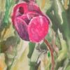 Pink Tulip 5 (pink tulip WC 2)