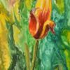 Yellow Tulip 3 (redyellow tulip WC)