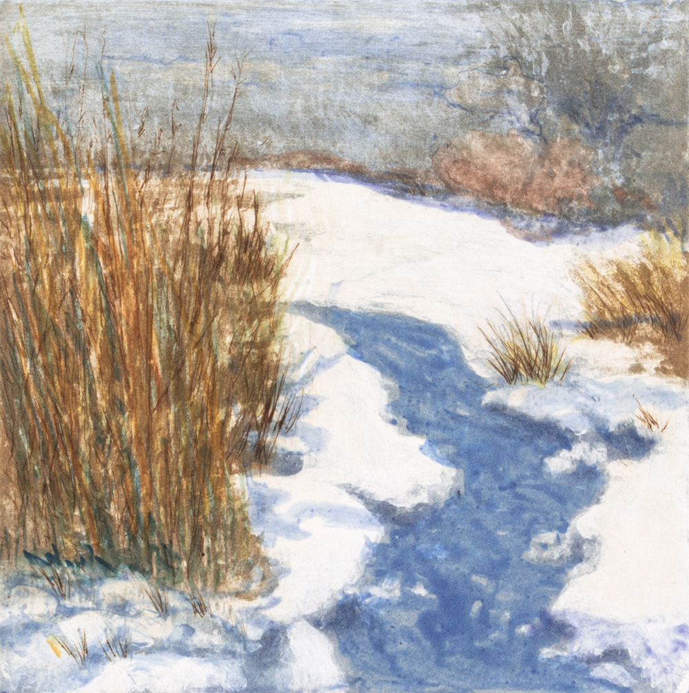 Judy Wolgast, 2025, Winter Color, JWOL001