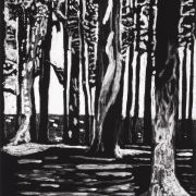 Little Presque Isle Shadows