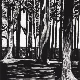 Little Presque Isle Shadows