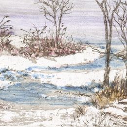 Winter Marsh